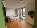 jepen-me-qera-5-apartamente-per-biznes-booking-dhe-airbnb-small-3