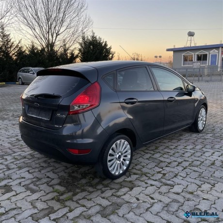 ford-fiesta-14-nafte-big-3