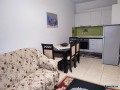 apartament-per-qira-ne-astir-small-4