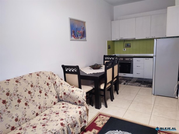 apartament-per-qira-ne-astir-big-4