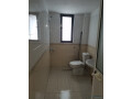 apartament-me-qera-21-tek-stadiumi-dinamo-per-banim-ose-zyra-tirane-small-4