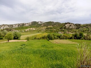 toke-per-shitje-ne-zonen-peze-e-madhe-tirane