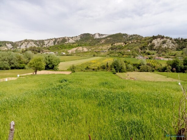 toke-per-shitje-ne-zonen-peze-e-madhe-tirane-big-3