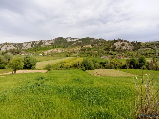 toke-per-shitje-ne-zonen-peze-e-madhe-tirane-big-0