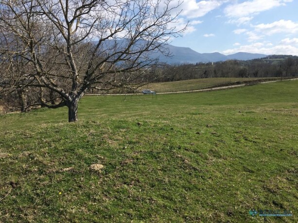 toke-per-shitje-ne-lunder-mundesi-e-mire-investimi-tirane-big-1