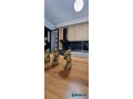 apartament-me-qeraditore-ne-qender-small-1