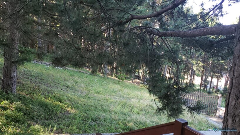 razem-shkoder-shkoder-big-11