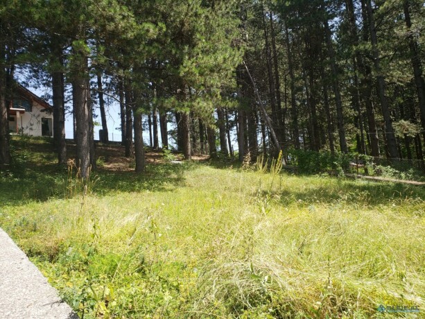 razem-shkoder-shkoder-big-13