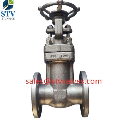 forged-steel-bellows-seal-gate-valve150lbf3161-inchrf-end-big-0