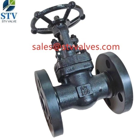 2205-wafer-check-valvedn65pn64din3202-big-3