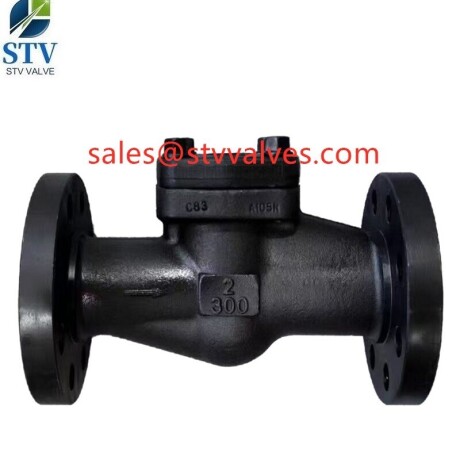 2205-wafer-check-valvedn65pn64din3202-big-4