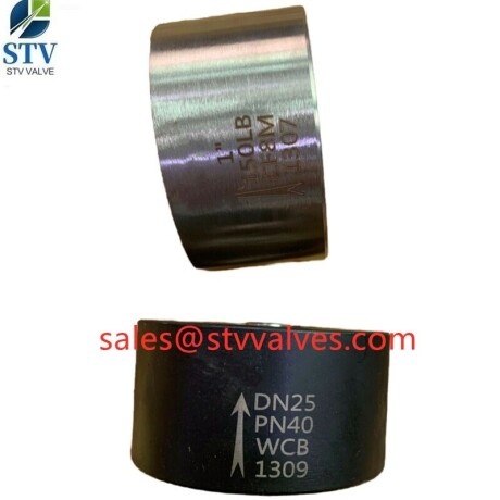 2205-wafer-check-valvedn65pn64din3202-big-0