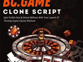 bc-game-clone-script-redefining-online-gaming-with-crypto-integration