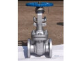 gate-valves-in-kolkata-small-0