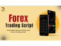 forex-trading-script-in-usa-small-0