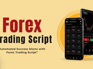 forex-trading-script-in-usa