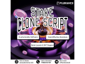 launch-a-custom-stake-clone-platform-free-demo-available-small-0