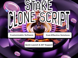 launch-a-custom-stake-clone-platform-free-demo-available