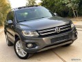 tiguan-small-2