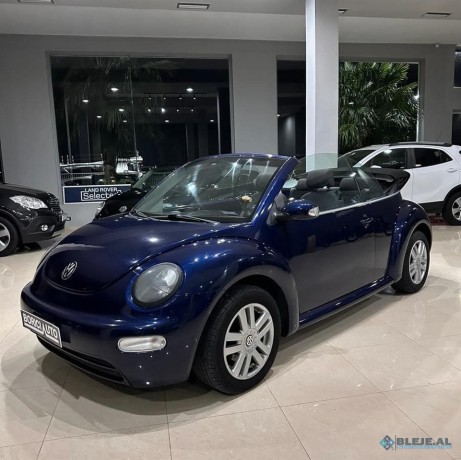 volkswagen-new-beetle-big-4