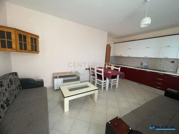 jepet-me-qira-apartament-11-me-pamje-deti-big-5