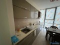 apartament-212t-me-qira-ne-qender-small-0