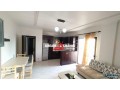 apartament-21-me-qera-ne-laprake-small-0