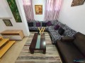 shitet-apartament-21-te-rruga-e-elbasanit-small-4