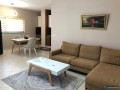 shitet-apartament-212-ne-vollga-small-9