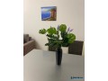 jepet-me-qera-apartament-11-te-pineta-durres-small-7