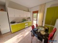 shitet-apartament-11-te-pishat-e-buta-golem-small-0