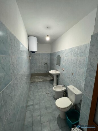 ne-zonen-e-don-boskostirane-tirane-big-1