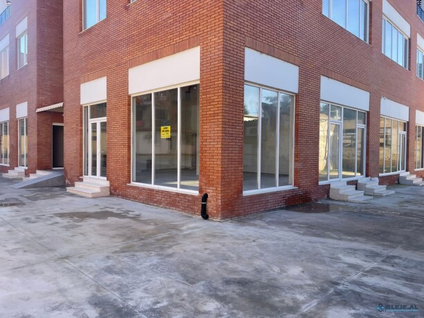 prane-shkolles-eqrem-cabej-tirane-big-4