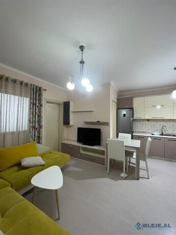 prane-ish-fusha-aviacionit-tirane-big-10