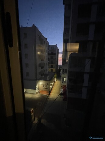 shengjin-qender-shengjin-big-4