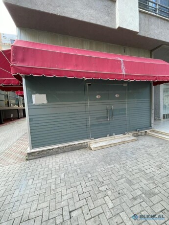 shengjin-qender-shengjin-big-0