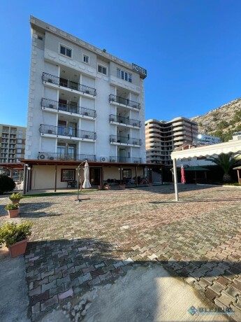 shengjin-shengjjn-big-8