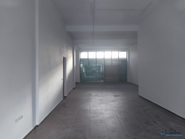 tek-dy-palmat-astir-tirane-big-0