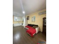 apartament-212-me-qera-te-kopshti-zoologjik-small-2