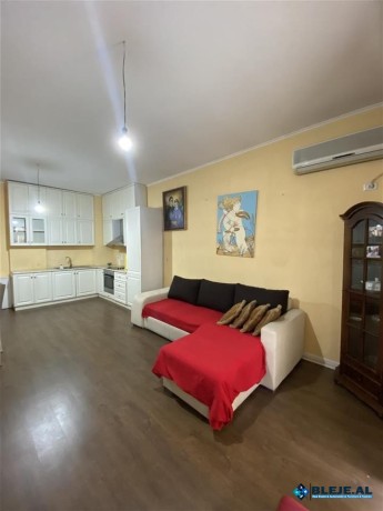 apartament-212-me-qera-te-kopshti-zoologjik-big-2