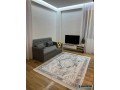 jepet-apartament-21blk-me-qera-te-liqeni-i-thate-small-1