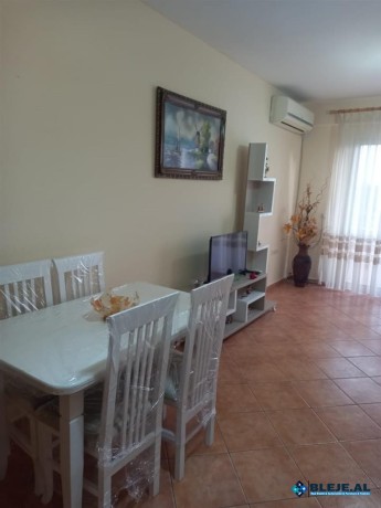 apartament-11-per-qira-me-pamje-deti-big-0