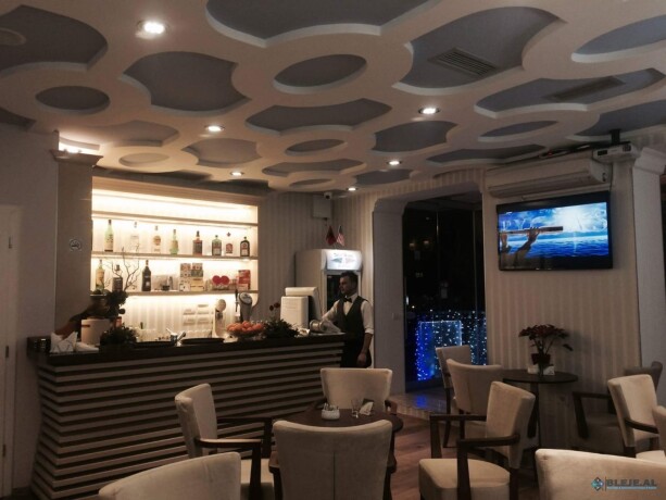 prone-komerciale-ideale-per-cdo-lloj-biznesit-tek-kinema-agimi-tirane-big-6