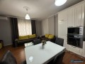 japim-me-qera-apartament-11-te-vila-l-ne-astir-small-3