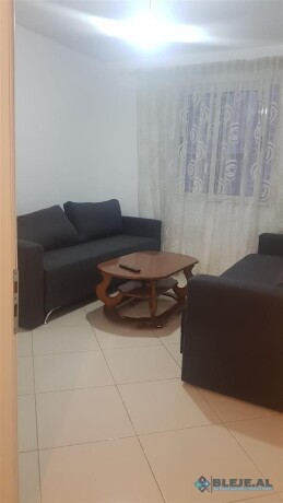 jepet-me-qera-11-ne-selite-tek-shkolla-marin-barleti-tirane-albania-tirane-big-1