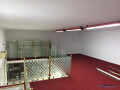 shitet-ambjent-biznesi-duplex-okazion-tirane-small-4