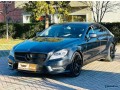 cls-amg-2013-small-0