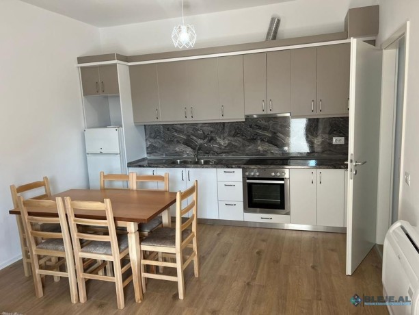 jepet-me-qera-apartament-21-plus-post-parkimi-ne-zonen-e-bulevardi-i-ri-tirane-tirane-big-4