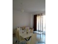 t-shitet-apartament-11-66m2-uji-i-ftohte-small-6