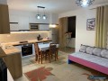 apartament-11-saporestauruar-dhe-mobiluar-small-5